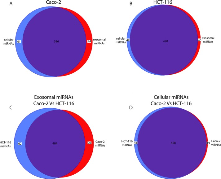 Comparison of miRNA sets found in exosomes and their source cells