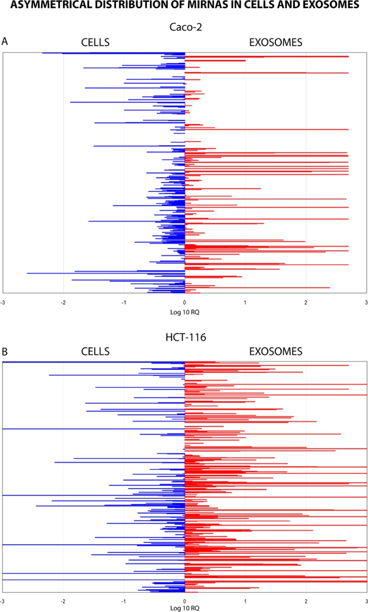 Quantitative asymmetric distribution of miRNAs in CRC cells and their exosomes