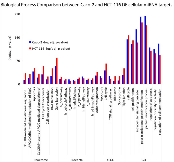 Comparison of biological functions attributed to cellular DE miRNAs in Caco-2 and HCT-116 cells after Cetuximab treatment
