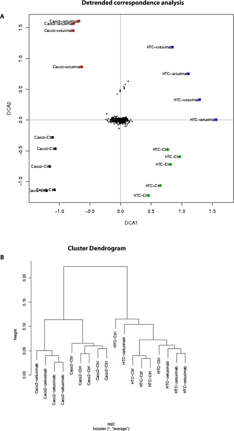 Antibody array data from CRC exosomes after Cetuximab treatment
