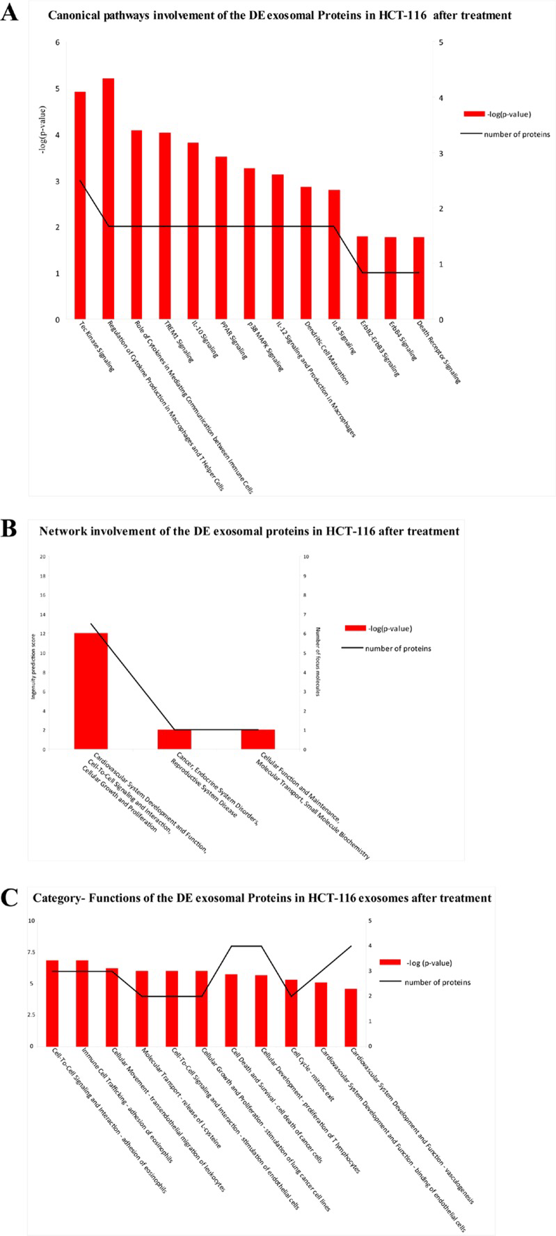 Biological functions of DE exosomal proteins in HCT-116