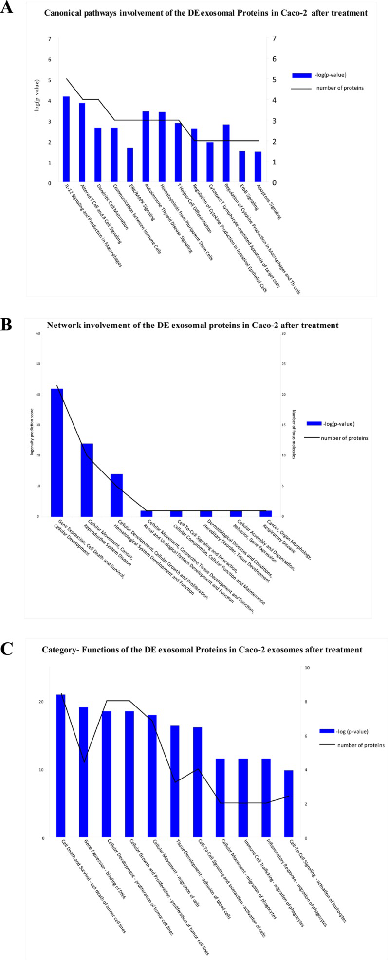 Biological functions of DE exosomal proteins in Caco-2