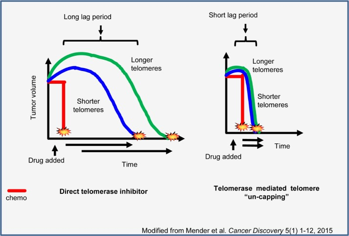 Comparison of two different approaches on telomerase targeted therapies