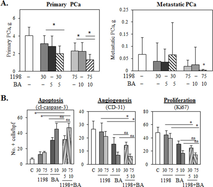 1198 + BA inhibits TRAMP primary and metastatic PCa