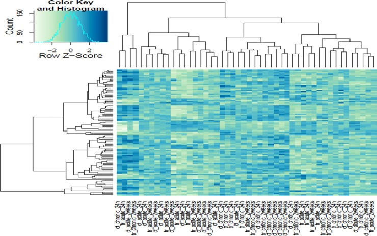 Heat map cluster of the Illumina gene sequencing results
