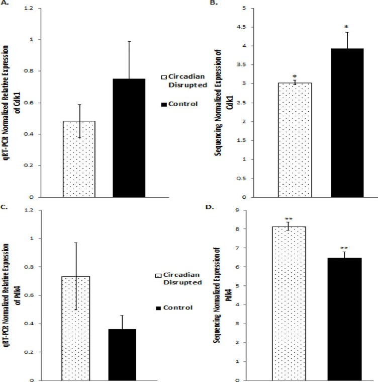 qRT-PCR and Illumina sequencing data for the Cdk1 and Pdk4 genes