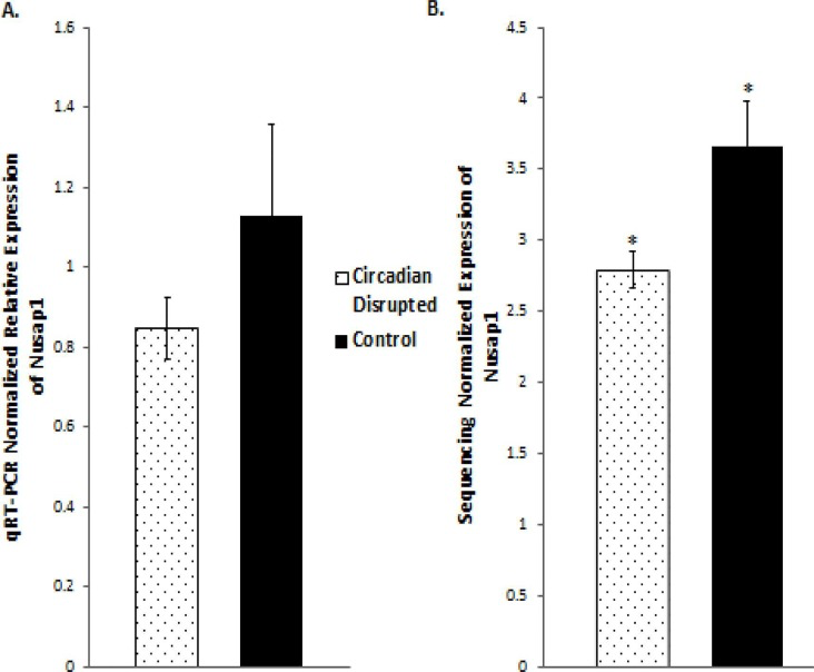 qRT-PCR and Illumina sequencing data for the Nusap1 gene